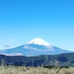 img_3799
