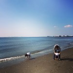 IMG_2847